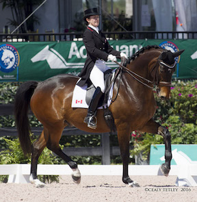 Dressage Canada:  Belinda Trussell Earns Record-Breaking Scores at Adequan Global Dressage Festival