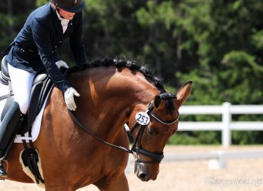 Cornerstone Dressage — Lynsey with Orion