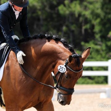 Cornerstone Dressage — Lynsey with Orion